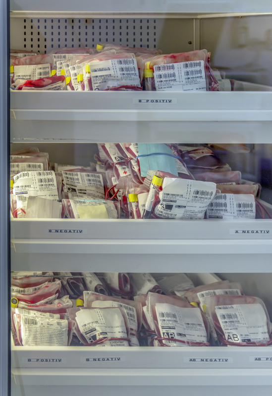 Blood bags stored in a refrigerator.